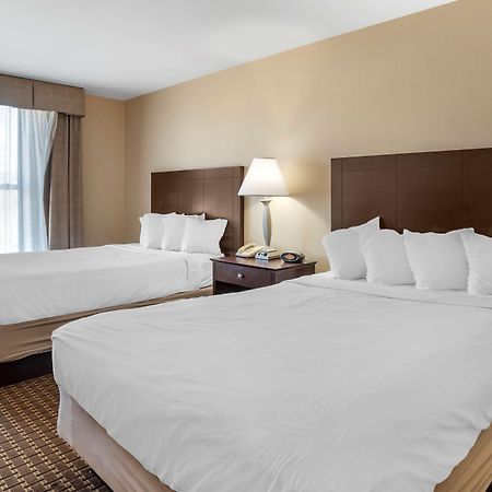Best Western Plus Philadelphia Airport South - At Widener University Chester Exteriér fotografie
