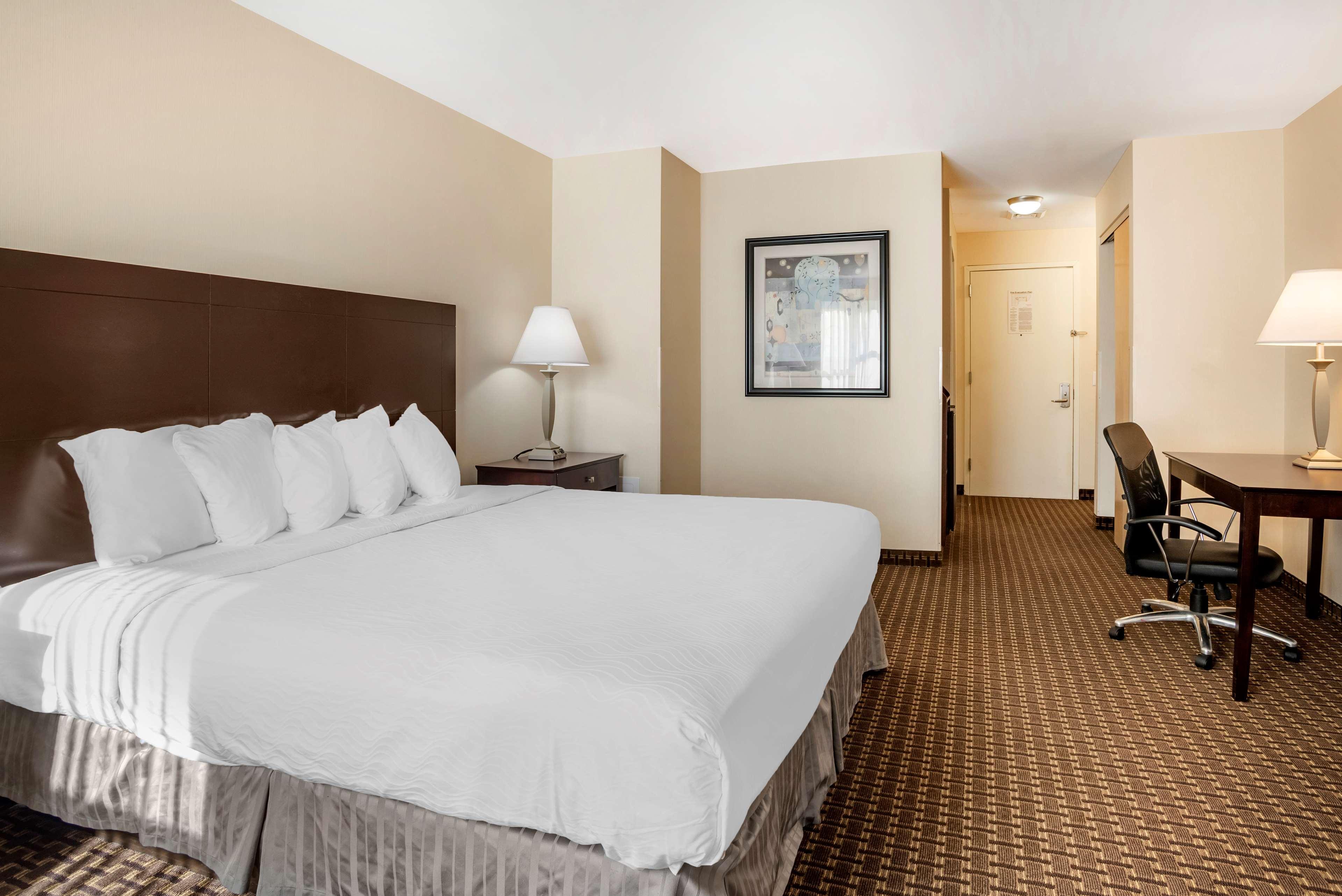 Best Western Plus Philadelphia Airport South - At Widener University Chester Exteriér fotografie