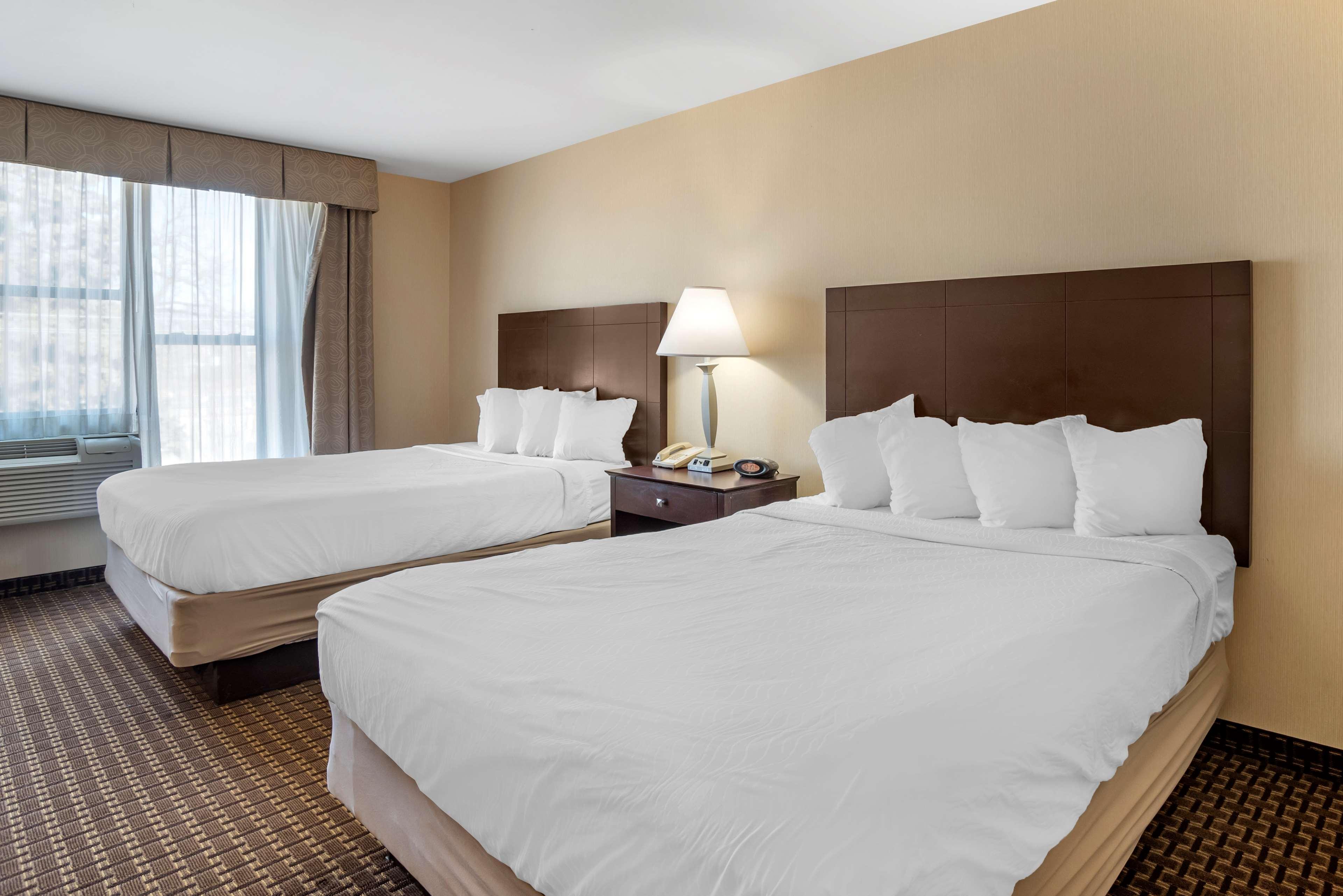 Best Western Plus Philadelphia Airport South - At Widener University Chester Exteriér fotografie