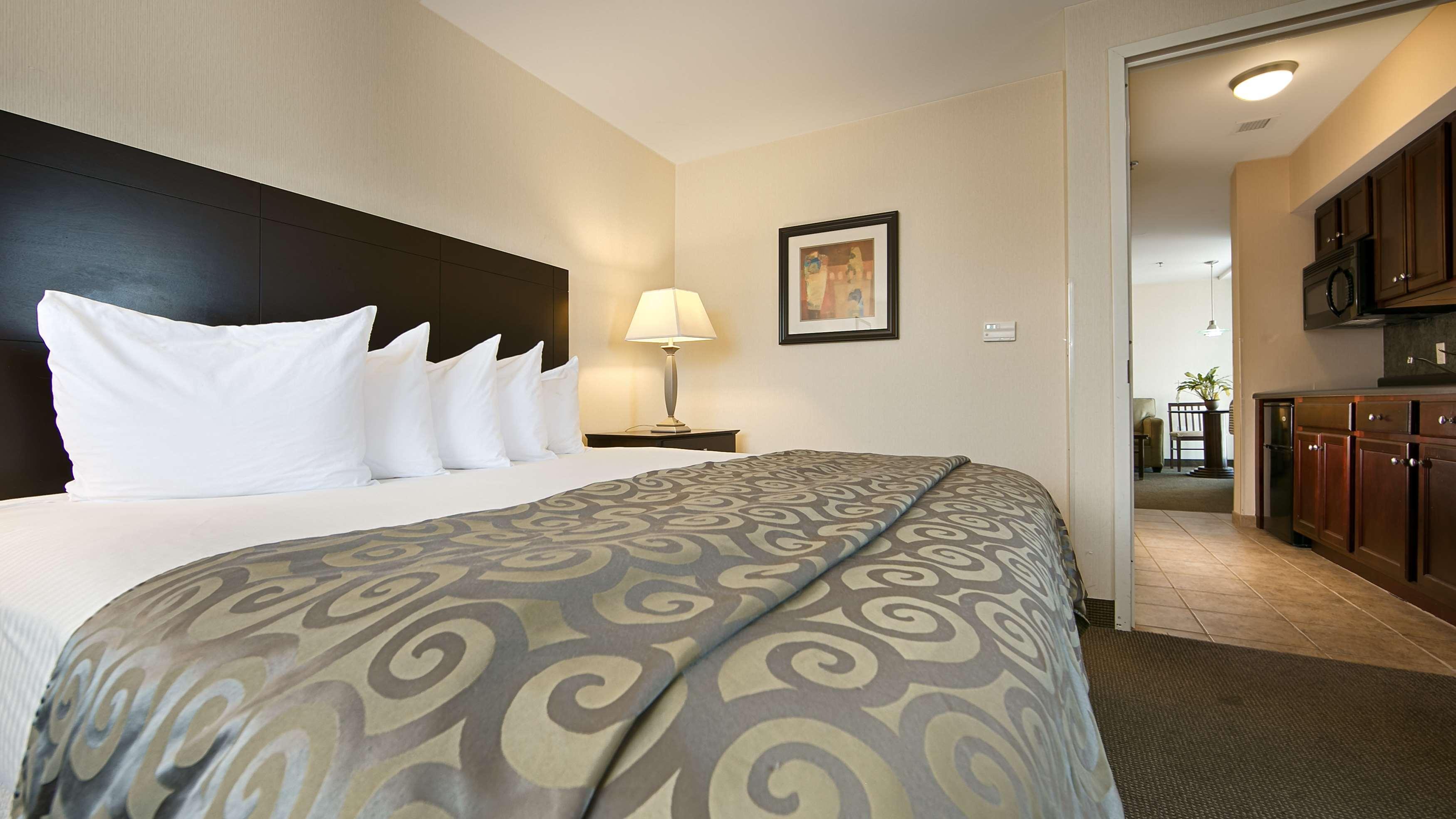Best Western Plus Philadelphia Airport South - At Widener University Chester Exteriér fotografie